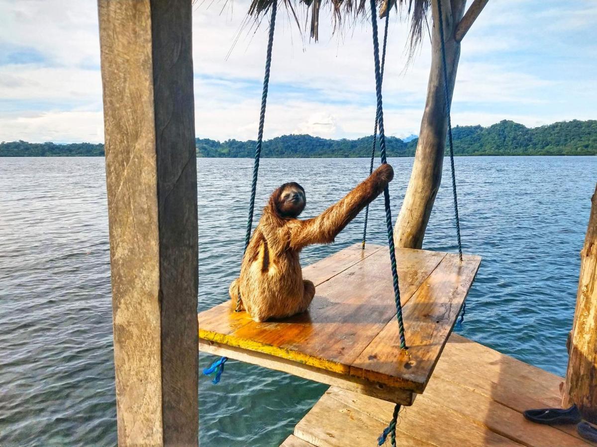 Hotel Cocovivo Bocas del Toro Exterior foto